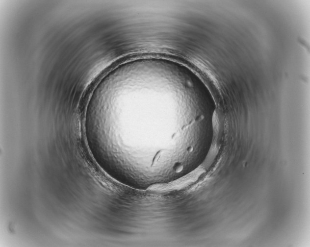X0000097290925200802221308