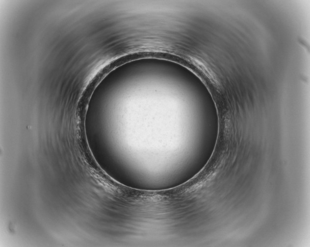 X0000097290926200802221308