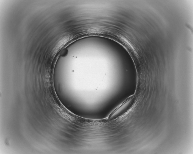 X0000097290930200802221309