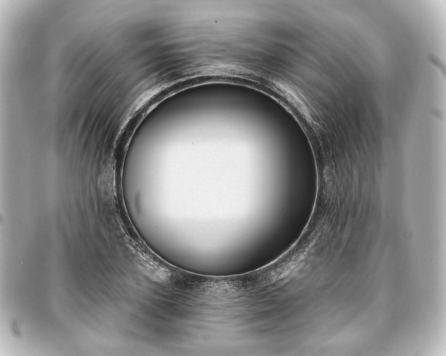 X0000097290931200802221309