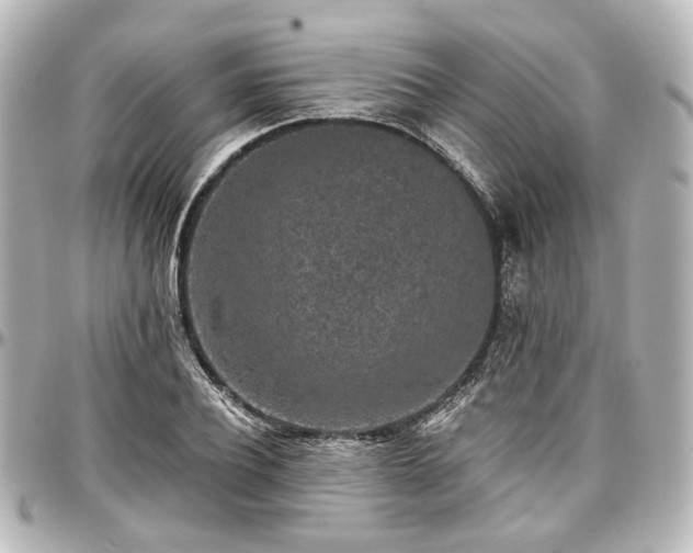 X0000097290932200802221309