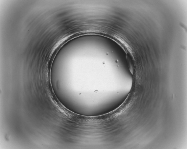 X0000097290933200802221309