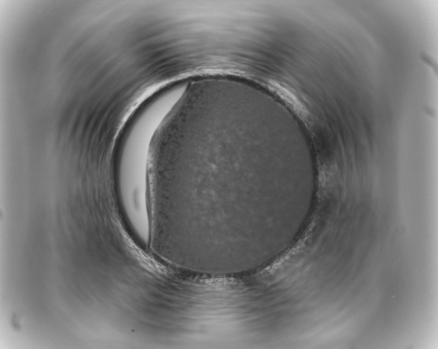 X0000097290934200802221309