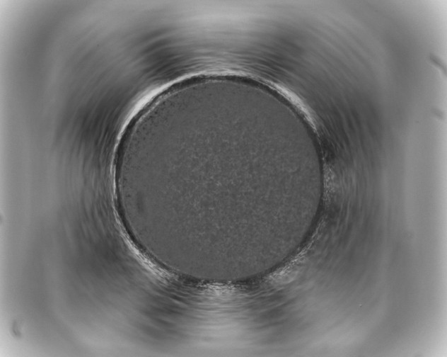 X0000097290935200802221309