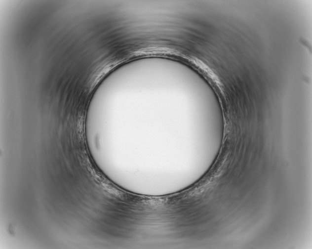 X0000097290937200802221309