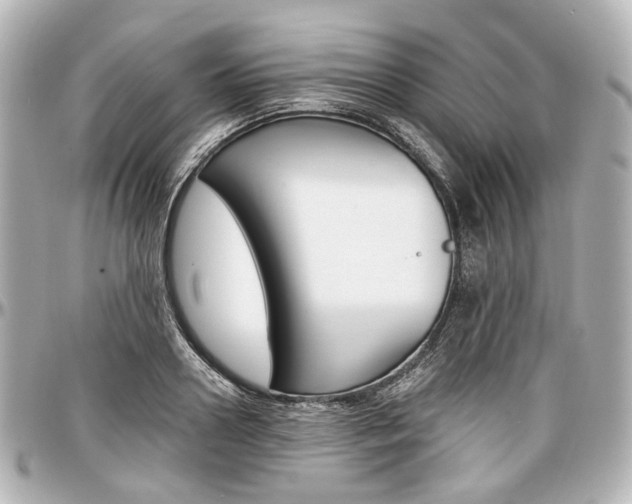 X0000097290938200802221309
