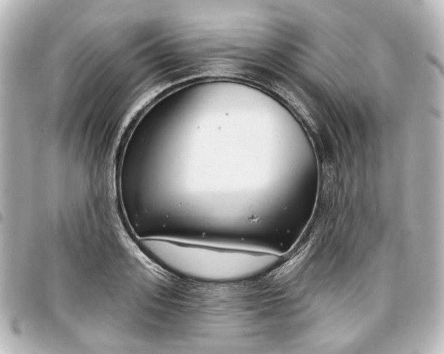X0000097290939200802221309
