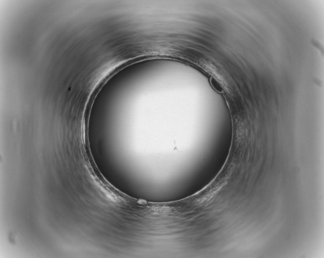 X0000097290940200802221309