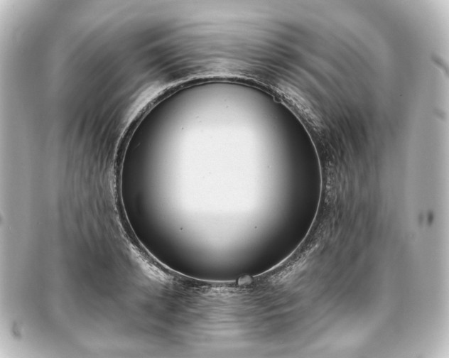 X0000097290942200802221309