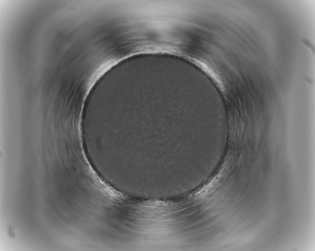 X0000097290943200802221309