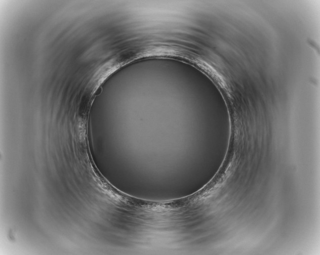 X0000097290945200802221309