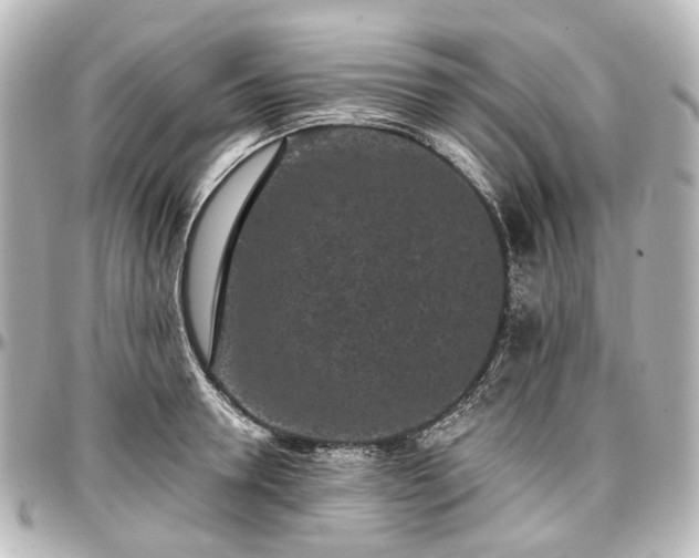 X0000097290946200802221309