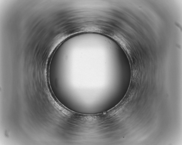 X0000097290947200802221309