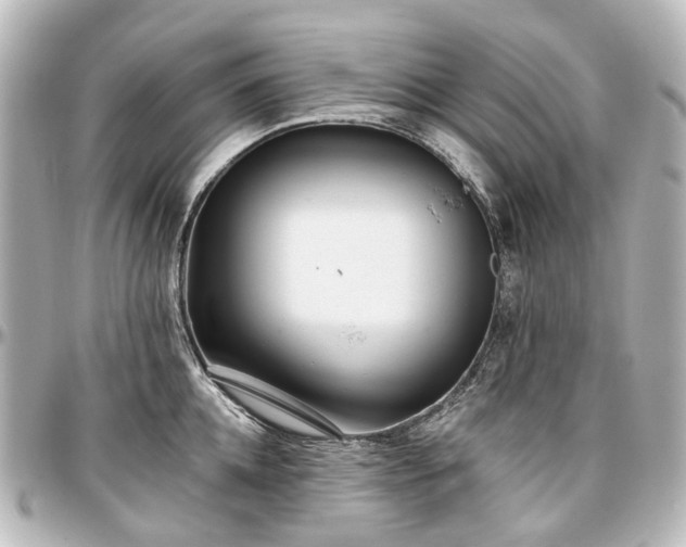 X0000097290952200802221309