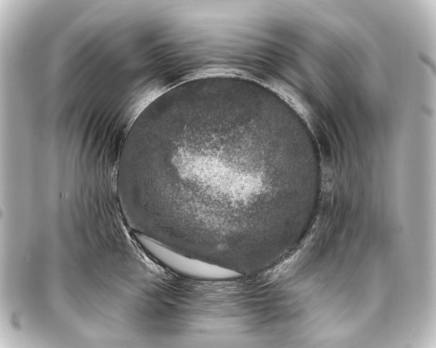 X0000097290953200802221309