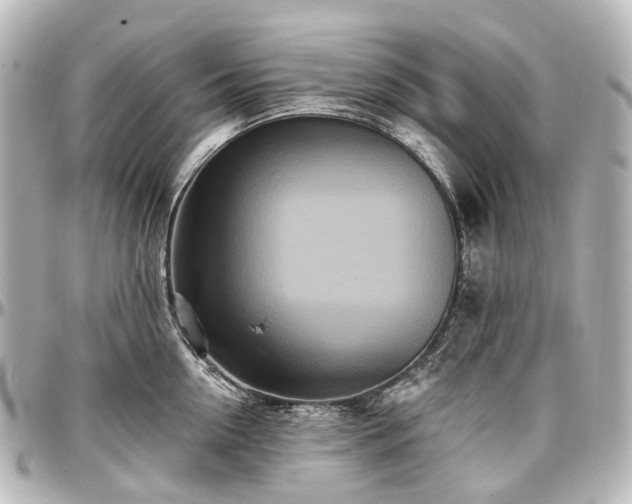 X0000097290954200802221309