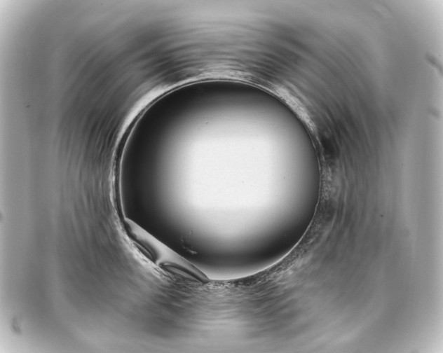 X0000097290955200802221309