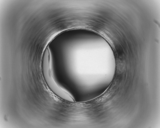 X0000097290956200802221309