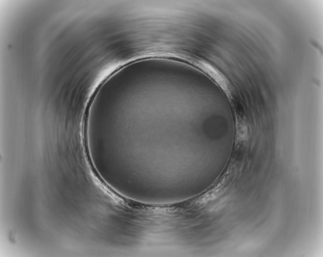 X0000097290958200802221309