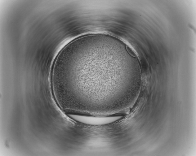 X0000097290959200802221309