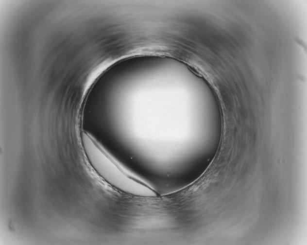 X0000097290960200802221309