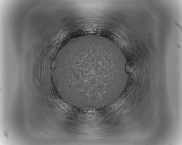 X0000097290961200802221308