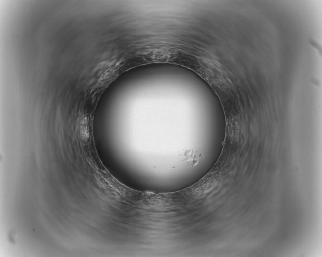 X0000097290962200802221308