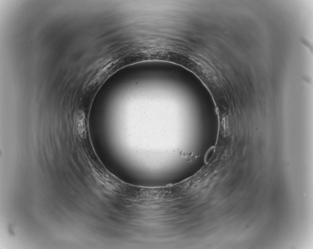 X0000097290963200802221308