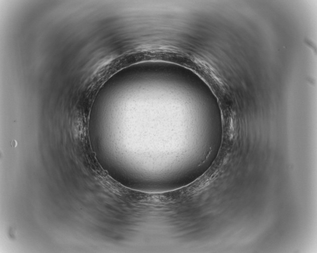 X0000097290966200802221308