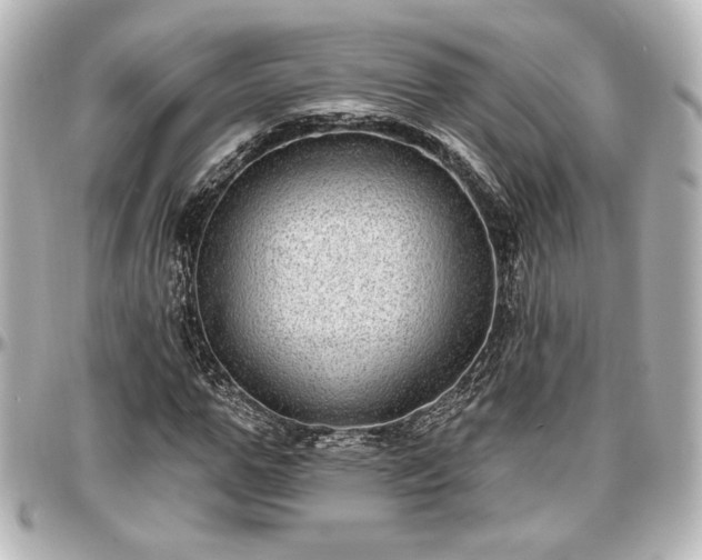 X0000097290967200802221308