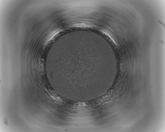 X0000097290968200802221308