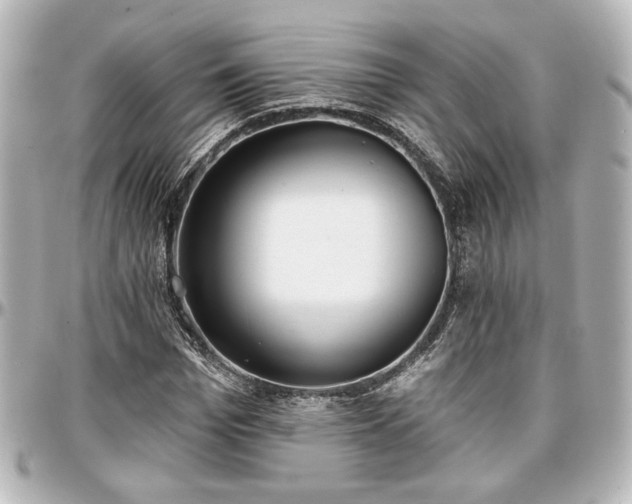 X0000097290969200802221308