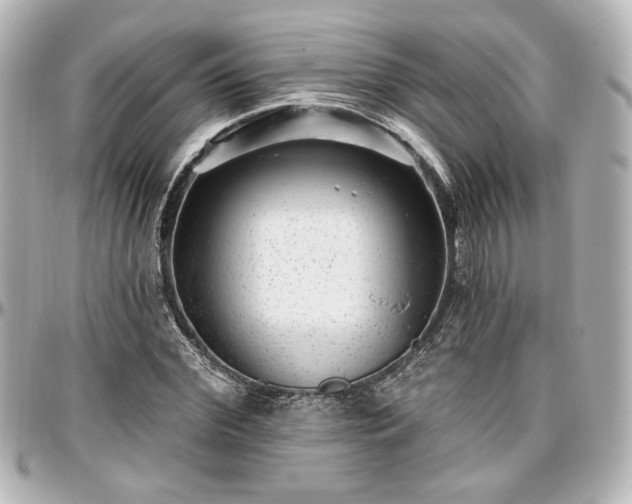 X0000097290972200802221308