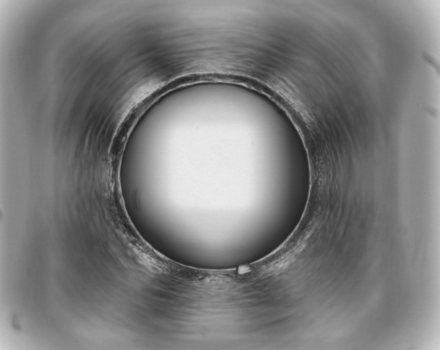 X0000097290974200802221308