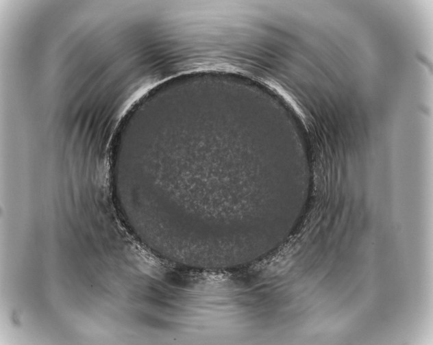 X0000097290975200802221308