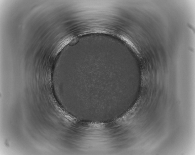 X0000097290977200802221308