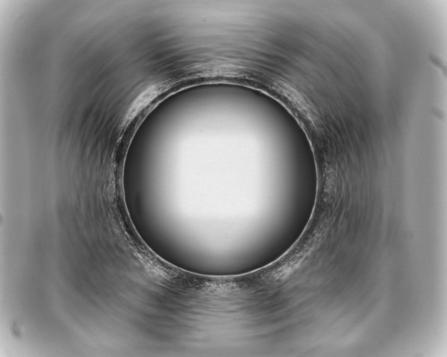 X0000097290978200802221308