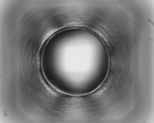 X0000097290981200802221308