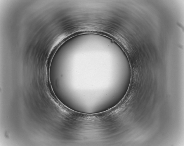 X0000097290982200802221308