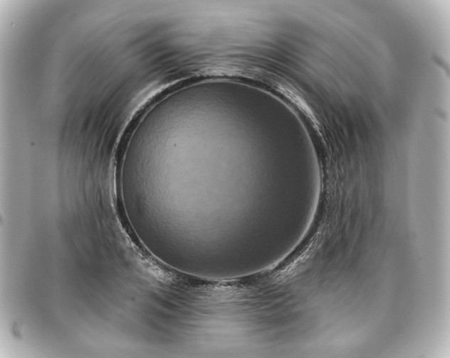 X0000097290984200802221308