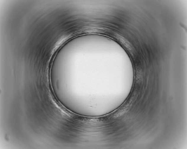 X0000097290986200802221308