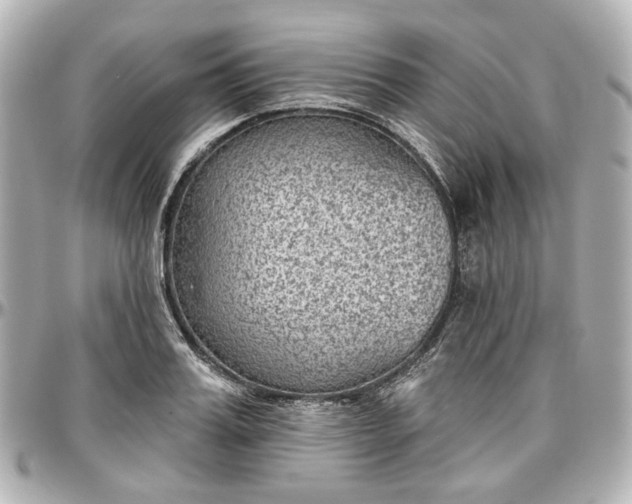 X0000097290987200802221308