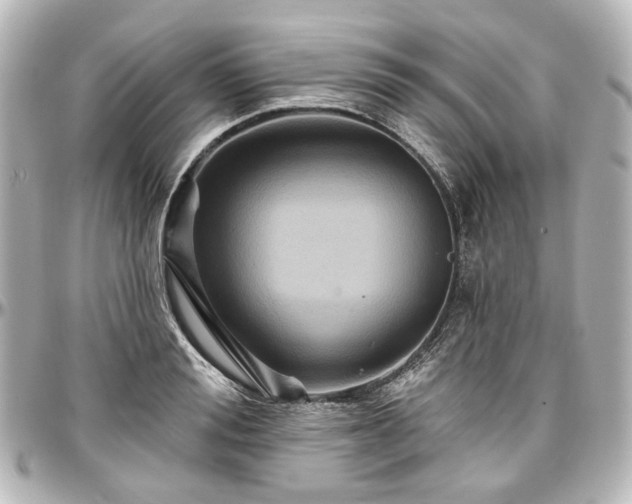 X0000097290988200802221308