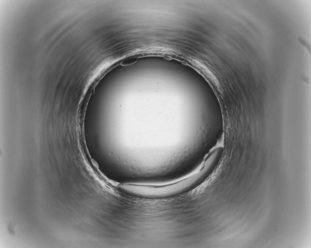 X0000097290989200802221308