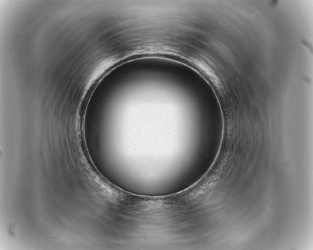 X0000097290990200802221308