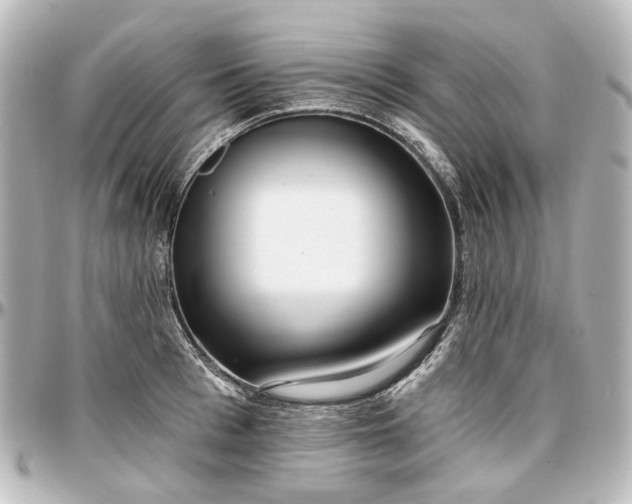 X0000097290993200802221308