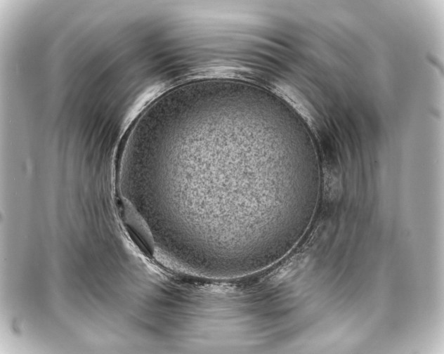 X0000097290994200802221308