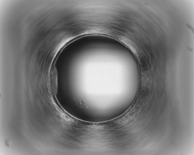 X0000097290996200802221308