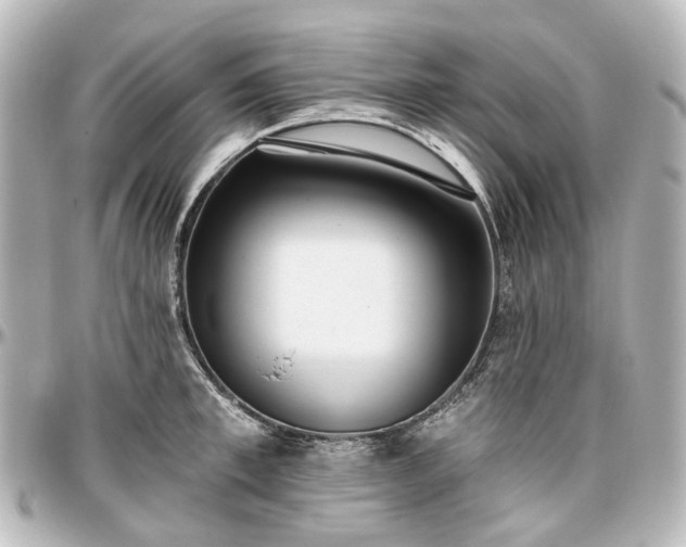 X0000097290997200802221308