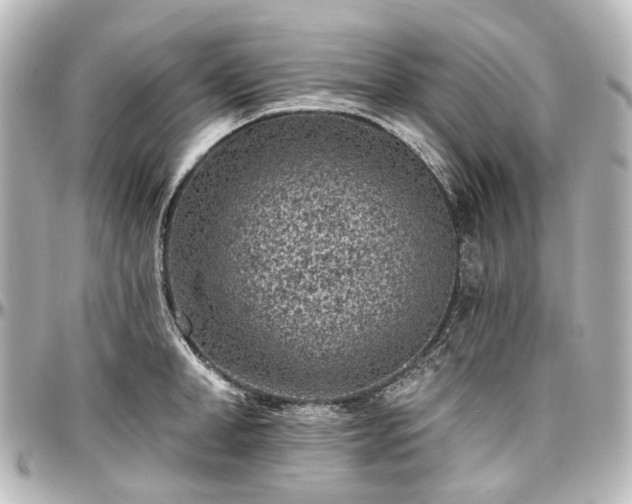 X0000097290998200802221308
